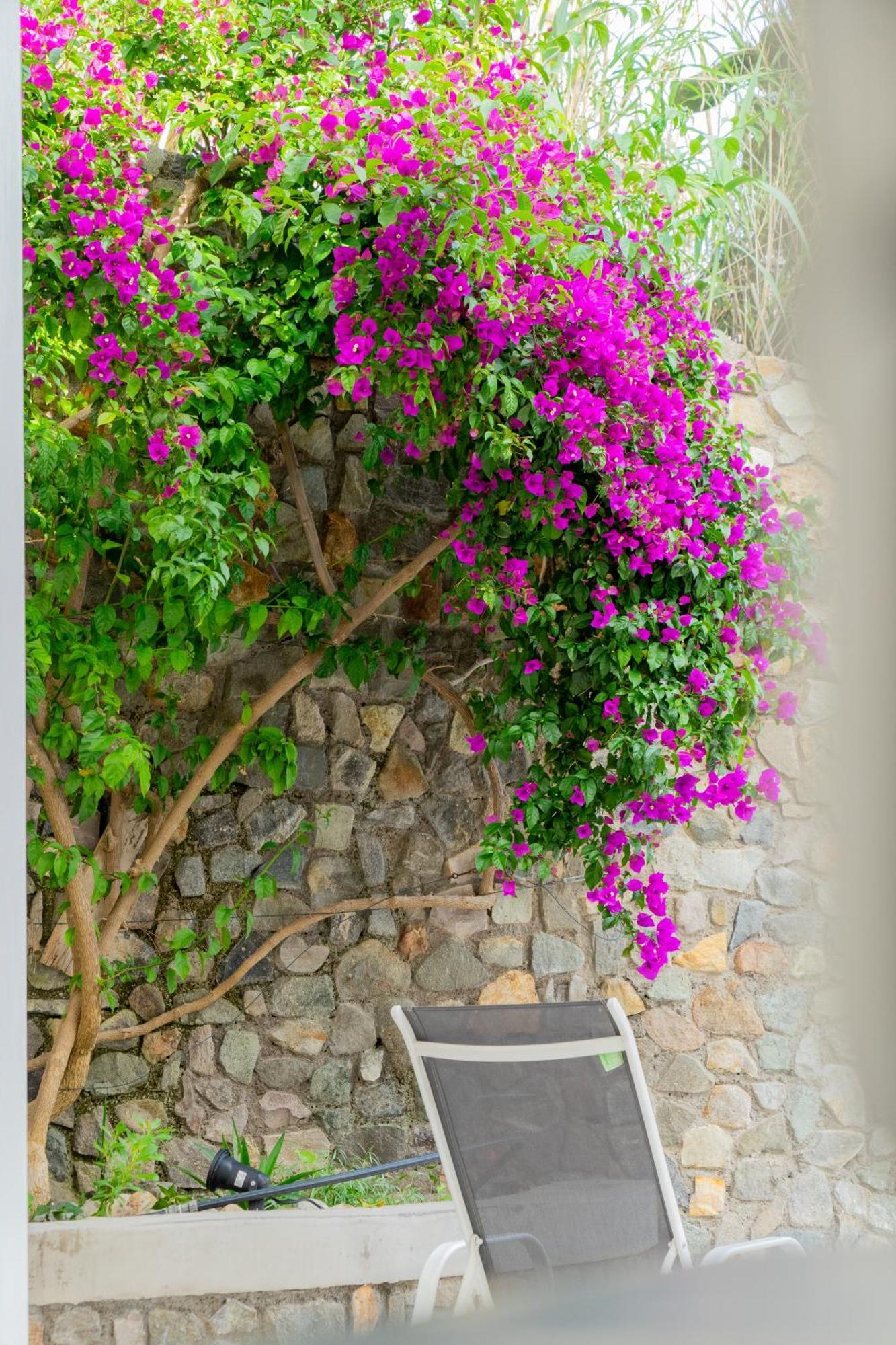 Villa Acacia Понца Экстерьер фото