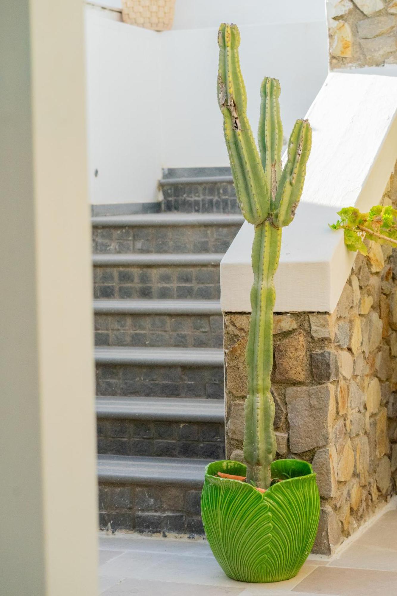 Villa Acacia Понца Экстерьер фото