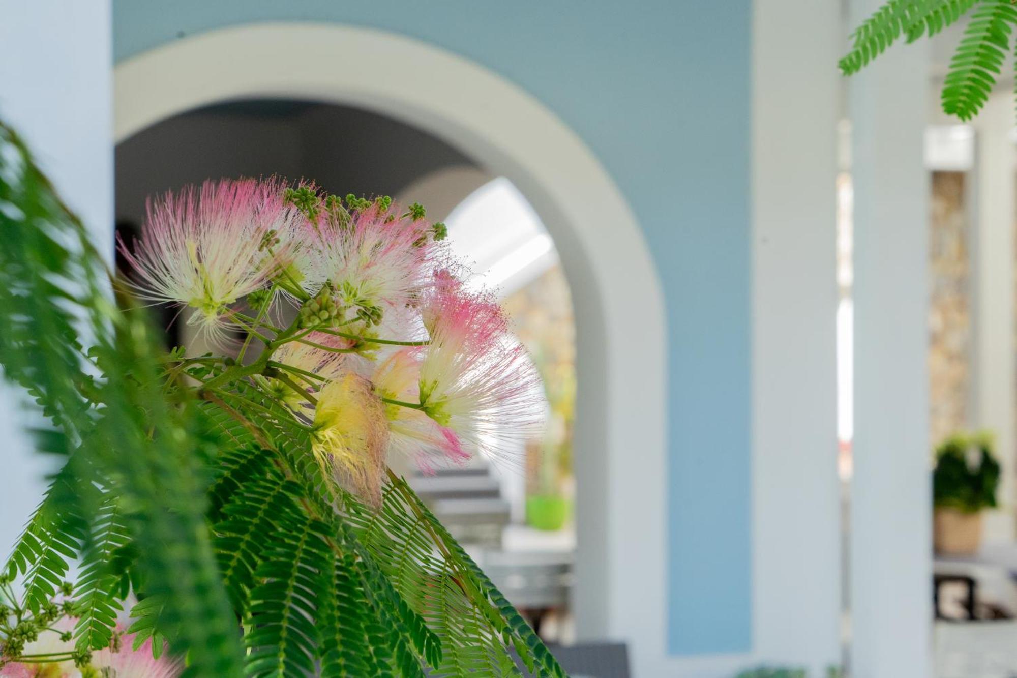Villa Acacia Понца Экстерьер фото